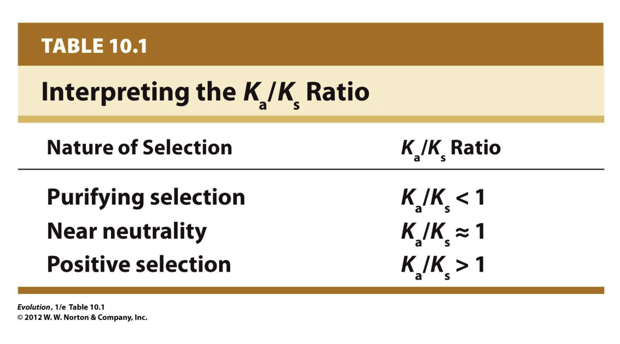 <ul><li><p>Ka = rate of nonsynomonous substitions</p></li><li><p>Ks = rate of synomonous substitutions</p></li><li><p>Ka / Ks = ratio tells you if selection is present </p></li></ul><p></p>