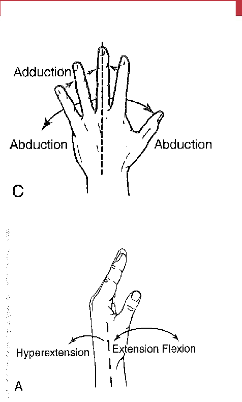 <p><strong>****All carpometacarpal joints</strong> are capable of <strong>flexion/extension*****</strong></p><p></p><p></p><p><span>For the <strong>thumb</strong></span></p><ul><li><p><span> has it’s own <strong>synovial joint </strong>and a <strong>greater ROM </strong></span></p></li><li><p><span><strong>ex movem → </strong>(abduction, adduction, flexion, extension, opposition)<br></span></p></li></ul><p><span>For the <strong>fingers</strong> </span></p><ul><li><p><span>share <strong>one synovial cavity</strong><br></span></p></li></ul><p><span><br><strong>Metacarpals</strong> of the<strong> third </strong>and<strong> fourth fingers</strong> have</span></p><ul><li><p><span><strong>limited ROM </strong></span>but        <strong>fifth metacarpal </strong>have <strong>more ROM</strong></p></li></ul><p></p><p><span>The relatively immobile <strong>second </strong>and <strong>third joints</strong> </span></p><ul><li><p><span>provide a <strong>stable axis</strong> for <strong>opposition</strong></span></p></li></ul><p></p>