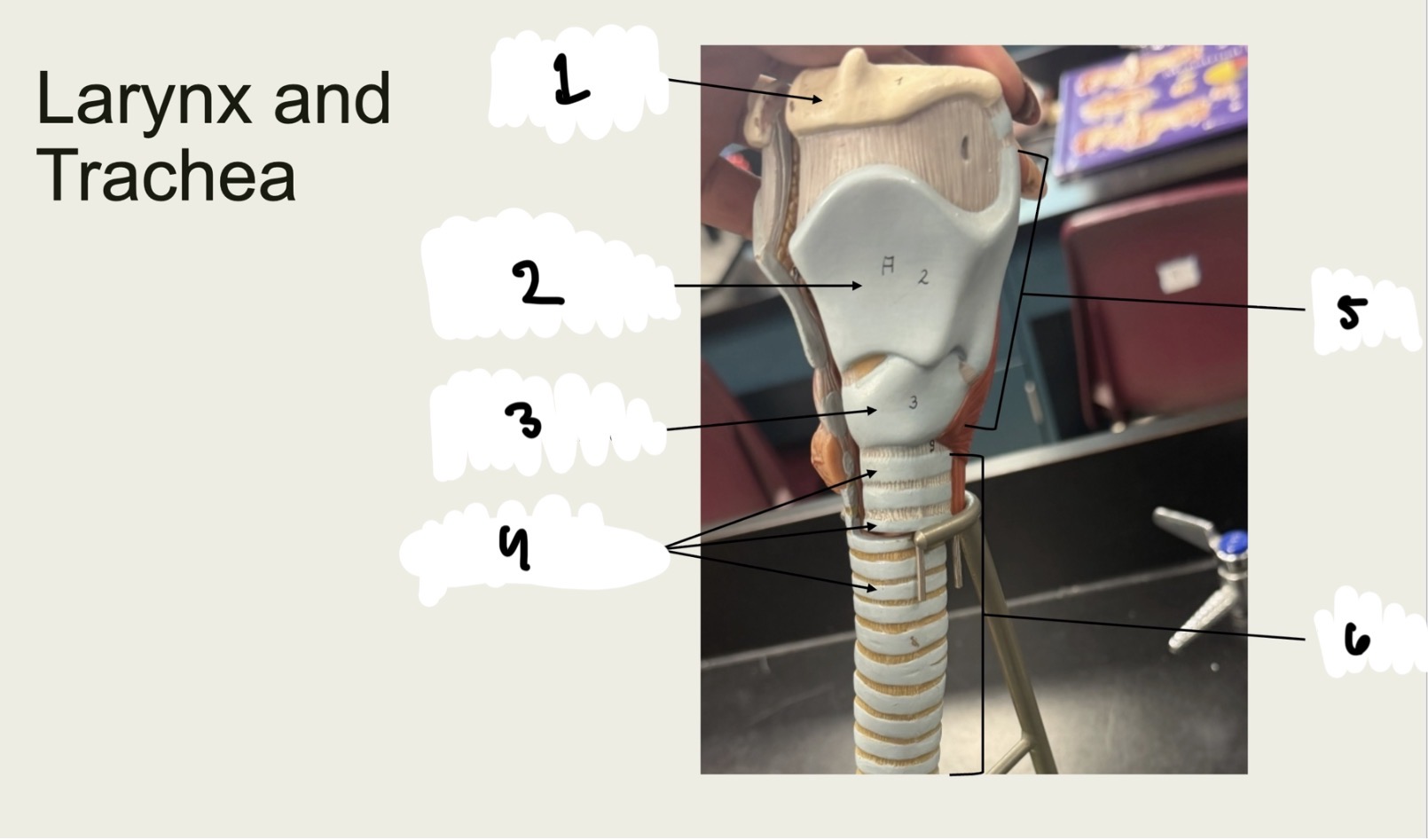 <p>1.XX</p><p>2.XX</p><p>3.XX</p><p>4.XX</p><p>5.XX</p><p>6.XX</p>