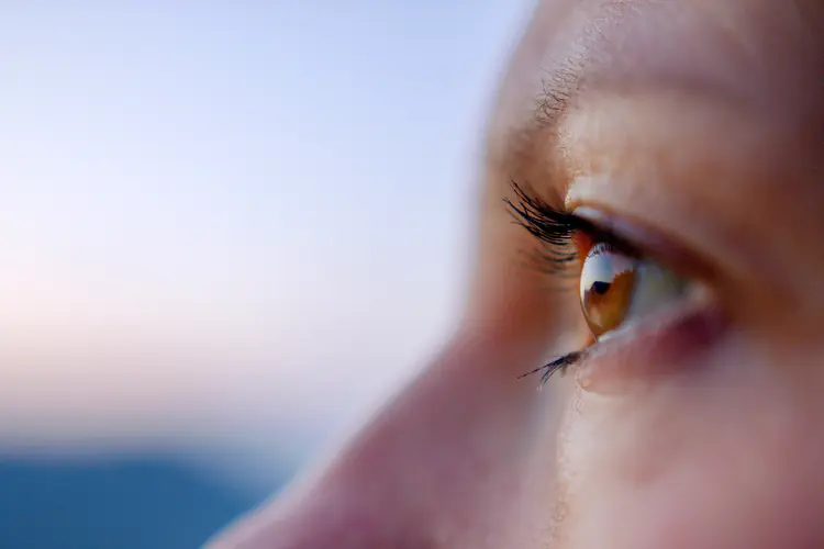 Vision