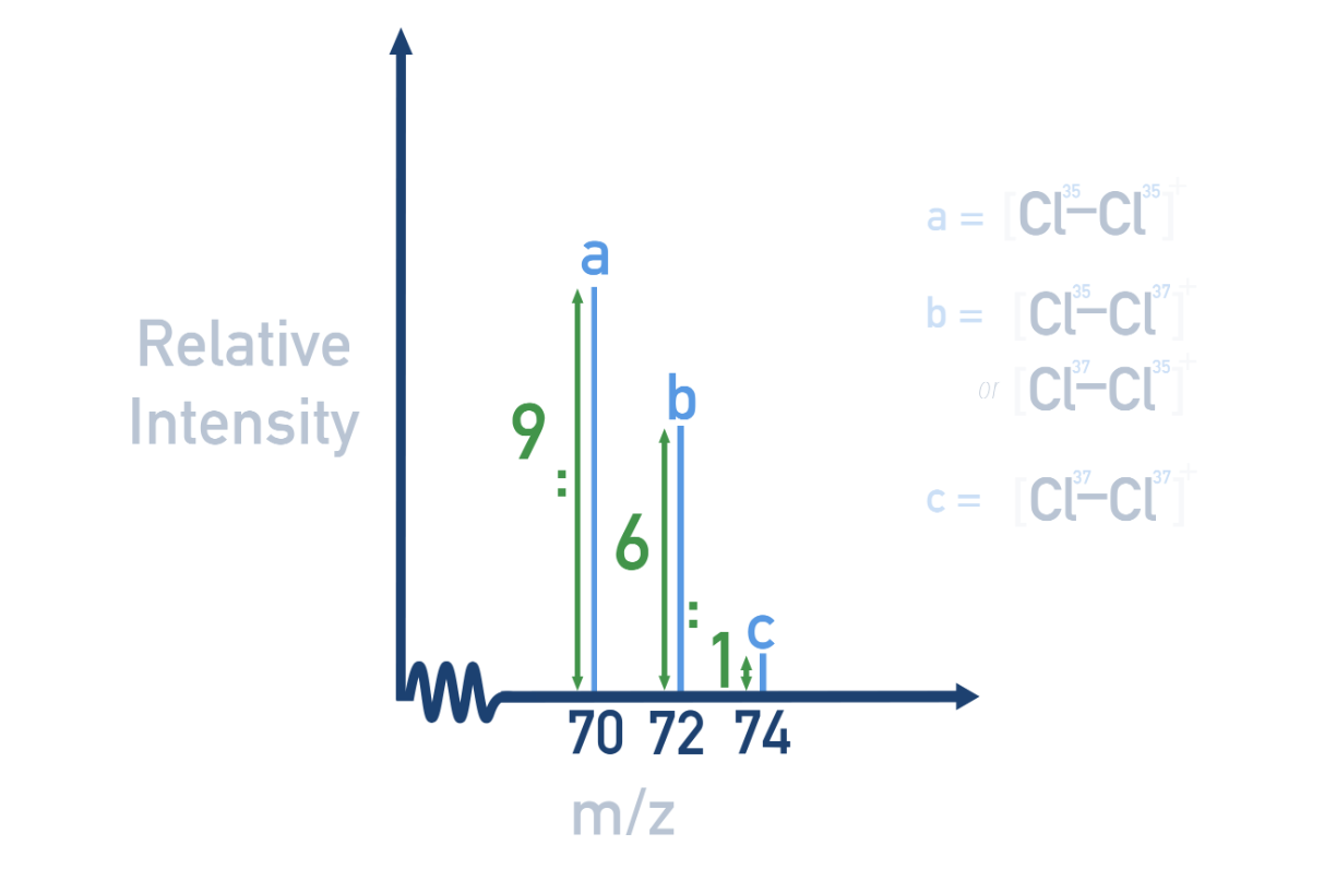 <p>Chlorine has two common isotopes: </p><ul><li><p><sup>35</sup>Cl which has a relative abundance of 75%</p></li><li><p><sup>37</sup>Cl which has a relative abundance of 25%</p></li></ul><p></p><p>Thus, th<span>ere are three possible combinations of Cl isotopes in a Cl</span><sub>2</sub><span> molecule, giving three different molecular ion peaks in a mass spectra:</span></p><ul><li><p><sup>35</sup>Cl — <sup>35</sup>Cl → m/z = 35 + 35 = 70</p></li><li><p><sup>35</sup>Cl — <sup>37</sup>Cl or  <sup>37</sup>Cl — <sup>35</sup>Cl → m/z = 35 + 37 = 72</p></li><li><p><sup>37</sup>Cl — <sup>37</sup>Cl → m/z = 37 + 37 = 74</p></li></ul><p></p><p>The height of the peaks can be calculated by finding the ratio of the probability of each isotope combination occurring:</p><ul><li><p><sup>35</sup>Cl — <sup>35</sup>Cl →  ¾ x ¾ = 9/16</p></li><li><p><sup>35</sup>Cl — <sup>37</sup>Cl or  <sup>37</sup>Cl — <sup>35</sup>Cl → 2(¾ x ¼) = 6/16</p></li><li><p><sup>37</sup>Cl — <sup>37</sup>Cl → ¼ x ¼ = 1/16</p></li></ul><p></p><p>which gives 9:6:1</p>