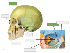 <p>Overview: this is the</p>