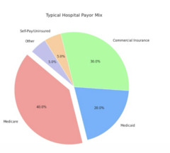 <p>the makeup of who pays/reimburses the hospital for its services</p>