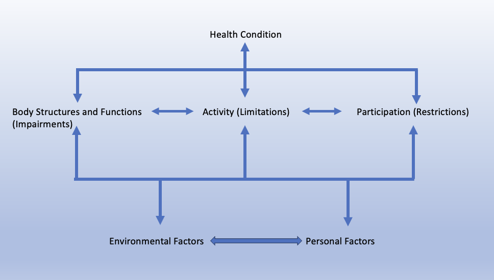 <p><span>-Activity: the execution of a task or action by an individual</span></p><p><span>-Activity Limitation: Difficulties and individual may have in executing an activity</span></p><p><span>-Examples: impairment > activity limitation&nbsp;</span></p><p><span>•Pain in the right knee → Ascending/descending stairs</span></p><p><span>•Weakness in the elbow flexors → Carrying laundry basket</span></p><p><span>•Decreased single leg balance → Walking on a balance beam</span></p><p><span>•Decreased range of motion in ankle → Squatting to pick up a crate</span></p>