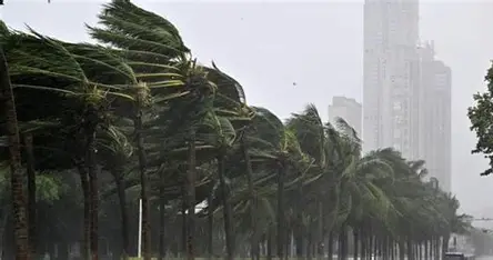 <p>(n) gió mạnh, gió giật</p>