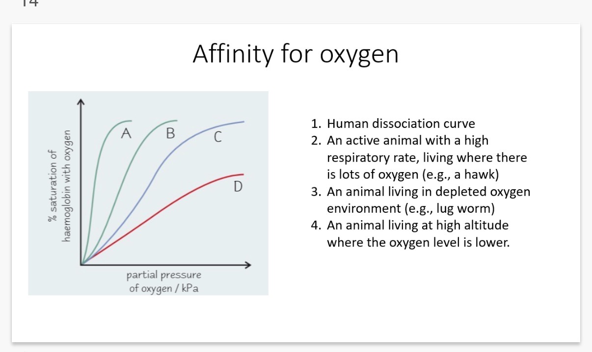 <p>Answer image q?</p>