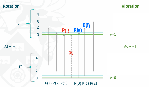 <ul><li><p>Transitions occur from any of the J levels in v=0 to ΔJ=±1 in the v=1.</p></li><li><p>ΔJ=1 forms the R branch.</p></li><li><p>ΔJ=-1 forms the P branch, however P(0) cannot exist as you cannot go lower than J=0.</p></li></ul><p></p>