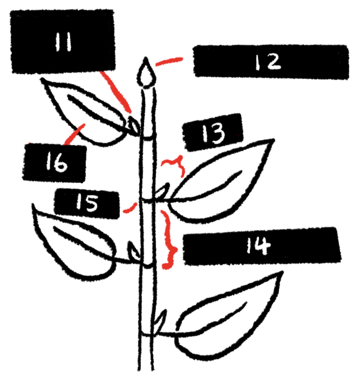 <p>What is 14?</p>