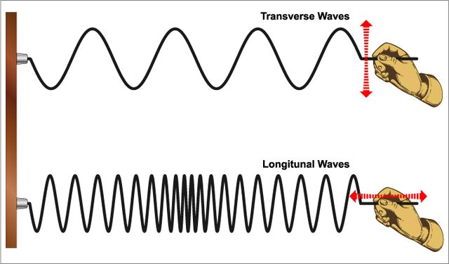 <p></p><ul><li><p><span style="background-color: transparent;"><strong>Transverse Waves</strong></span></p><ul><li><p><span style="background-color: transparent;">Particles vibrate perpendicular to wave direction</span></p></li><li><p><span style="background-color: transparent;">Think: up and down while wave moves forward</span></p></li><li><p><span style="background-color: transparent;">Example: light, waves on a rope</span></p></li></ul></li></ul><p></p><ul><li><p><span style="background-color: transparent;"><strong>Longitudinal Waves</strong></span></p><ul><li><p><span style="background-color: transparent;">Particles vibrate parallel to wave direction</span></p></li><li><p><span style="background-color: transparent;">Creates compressions and rarefactions</span></p></li><li><p><span style="background-color: transparent;">Example: sound</span></p></li></ul></li></ul><p></p>