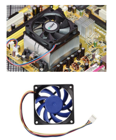 term image