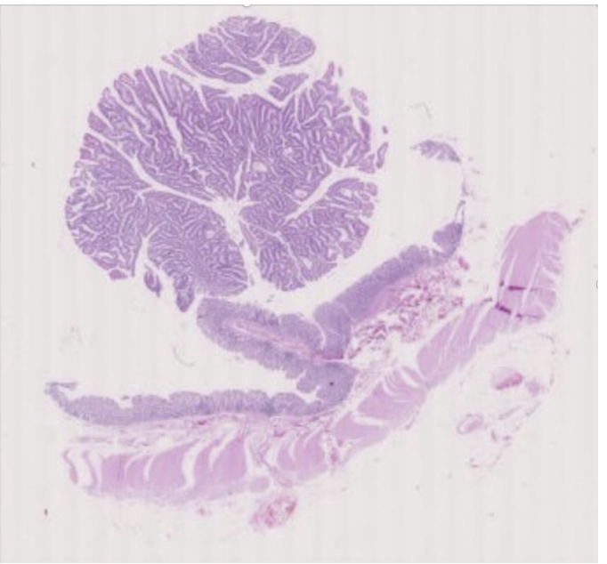 <p>What is this?</p>