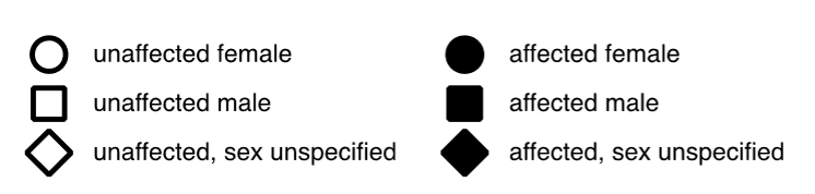 <ul><li><p>affected - black (can be dominant or recessive)</p></li><li><p>unaffected - blank (can be dominant or recessive)</p></li></ul><p></p>