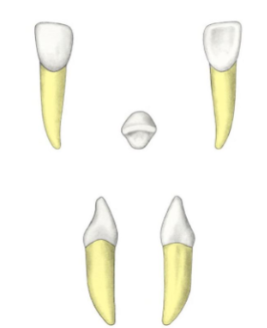 <p>?</p>