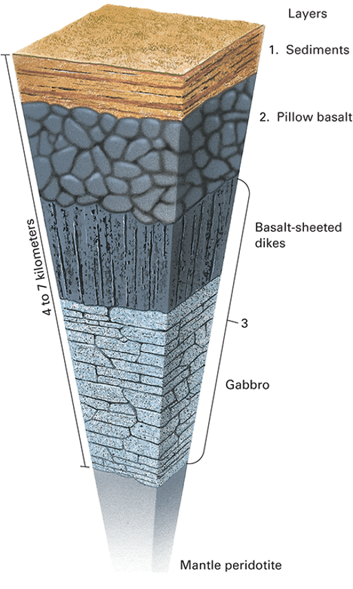 <p>what does this picture show? </p>