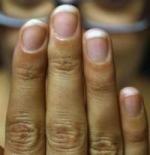 <p>fingers</p>