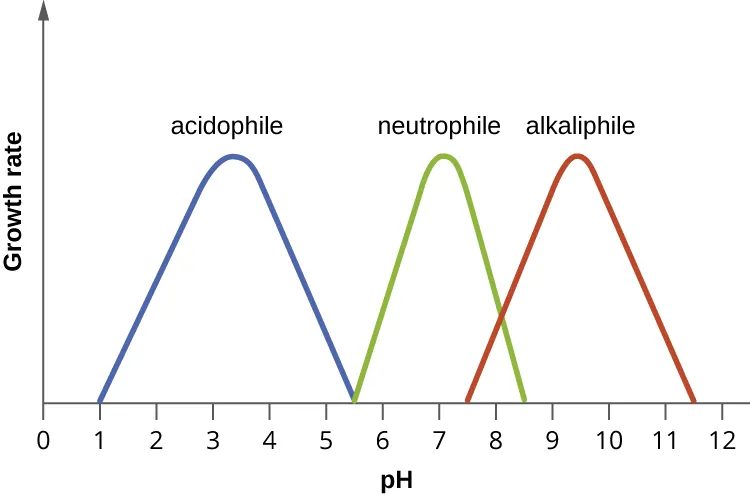 9.3 The Effects of pH on Microbial Growth - Microbiology | OpenStax