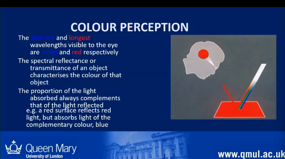 <ul><li><p>A red surface reflects red light, but absorbs light of the complementary colour - blue</p></li></ul><p></p>