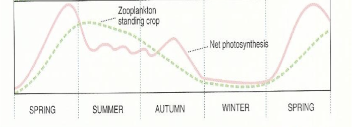 <p><span style="font-family: "Wingdings 3";">u</span><span>Given what you know about sunlight, seasons, stratification, nutrients, and phytoplankton explain the diatom cycle depicted below (temperate bay).</span></p>