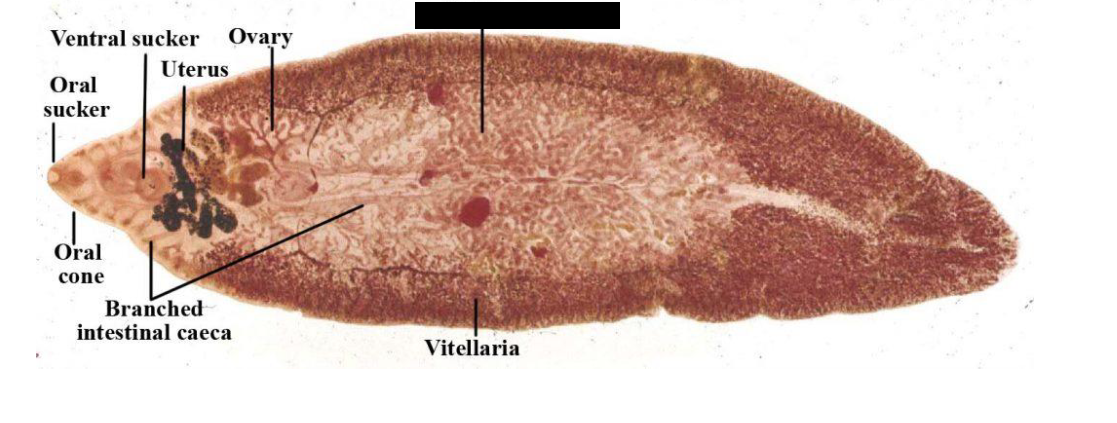 <p>What is this? What is labeled?</p>