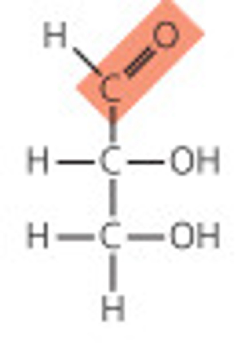<p>Carbohydrates that contain an aldehyde as their most oxidized functional group</p><p>Can participate in glycosidic linkages</p><p>Ex - Aldohexose, Glyceraldehyde</p><p>Numbering of carbons on sugars follows IUPAC rules</p>
