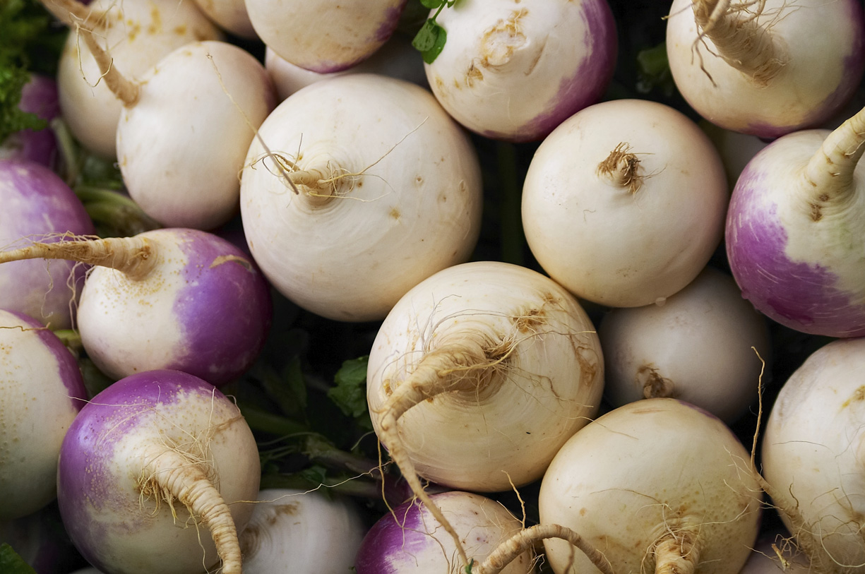 <p>turnip</p>