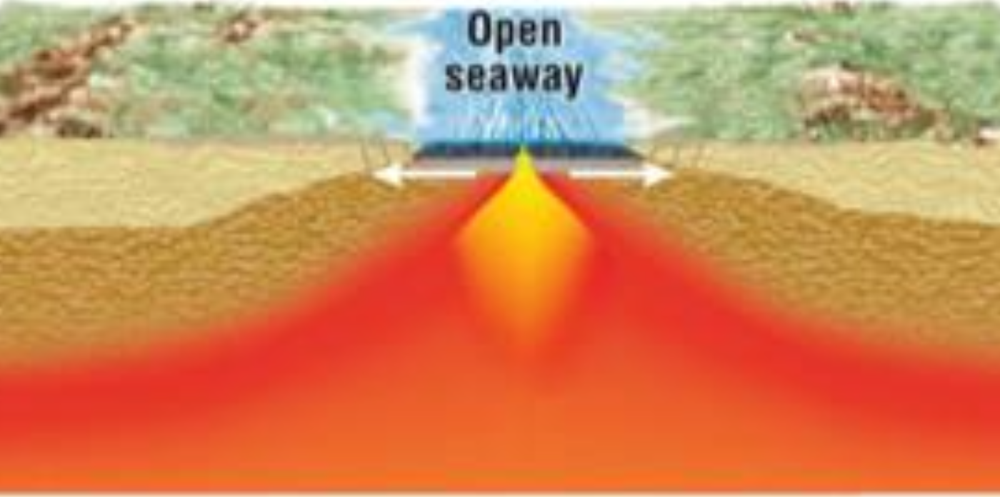 <ul><li><p><span style="background-color: transparent; font-family: "Lucida Sans", sans-serif;">Forms when the rifted lithosphere reaches the continent’s edge&nbsp;</span></p></li><li><p><span style="background-color: transparent; font-family: "Lucida Sans", sans-serif;">Widening by ~15-20 cm/yr</span></p></li></ul><p></p>