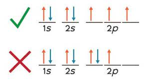 <p>One electron must occupy each orbital of the same energy before a second electron occupies an orbital</p>