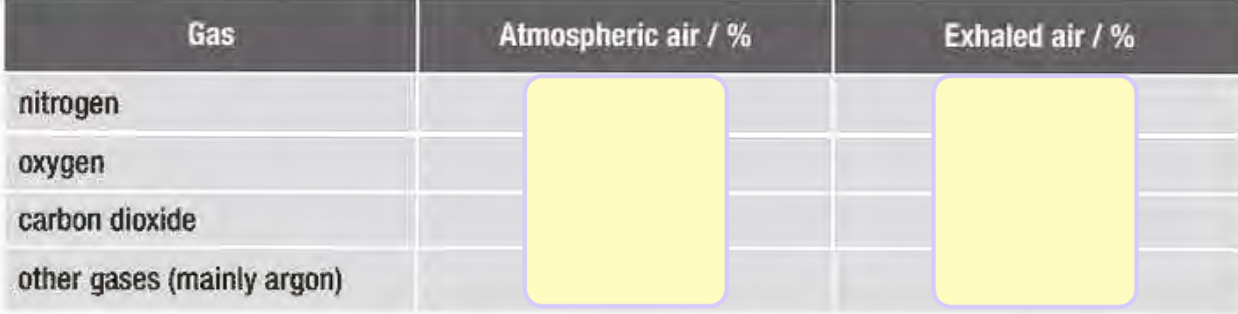 <p>FAQ</p><p><span style="background-color: transparent;">What is the composition of inspired and expired air?</span></p>