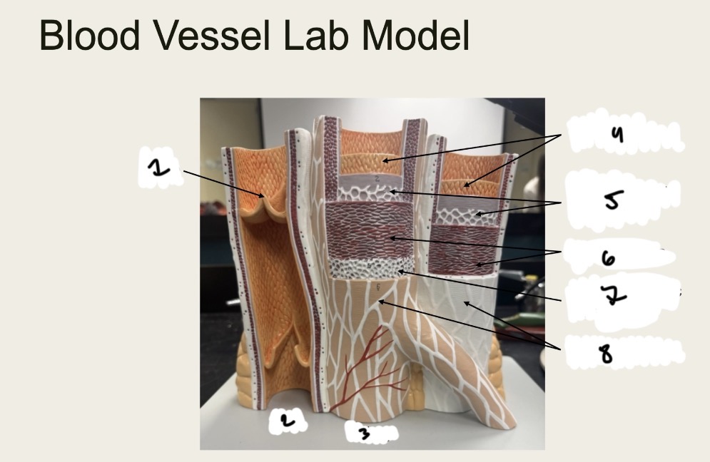 <p>1.XX</p><p>2.XX</p><p>3.XX</p><p>4.XX</p><p>5.XX</p><p>6.XX</p><p>7.XX</p><p>8.XX</p>