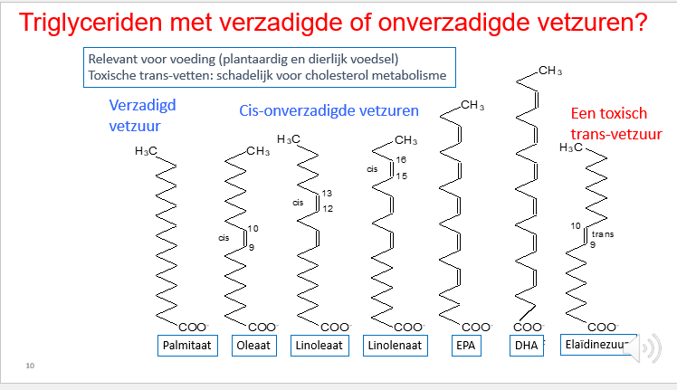 <p><span>Dierlijke TG’s zullen vooral verzadigde vetzuren dragen.</span></p><p style="text-align: left;"><span>Plantaardige dragen ook onverzadigde vetzuren, wat de smelttemperatuur verandert.</span></p><p style="text-align: left;"></p><p style="text-align: left;"><span>Rechts: vetzuur waarbij 1 van de dubbelel bnidingen niet in cis maar in trans zit, dat kan impact hebben op de productie van metabolieten die cardiovasculair ongezond zijn.</span></p><p style="text-align: left;"></p><p style="text-align: left;"><span>De andere essentiële vetzuren zoals EPA (Eicosapentaenoic acid) en DHA (Docosahexaenoic acid) zij omega-3 poly-onverzadigde vetzuren die we vooral halen uit vette vissen.</span></p><p style="text-align: left;"><span>Ons lichaam kan die dubbele bindingen niet / onvoldoende maken.</span></p><p style="text-align: left;"><span>Daarom zijn het essentiële vetzuren die we zullen gebruiken om bv belangrijke signaalmoleculen van te maken.</span></p><p style="text-align: left;"></p><p style="text-align: left;"><span>Als we onvoldoende van die essentiële vetzuren innemen met de voeding kan dat een effect hebben op een aantal processen in ons lichaam zoals inflammatie, kan aanleiding geven tot cardiovasculaire ziekten en stollingsproblemen.</span></p>