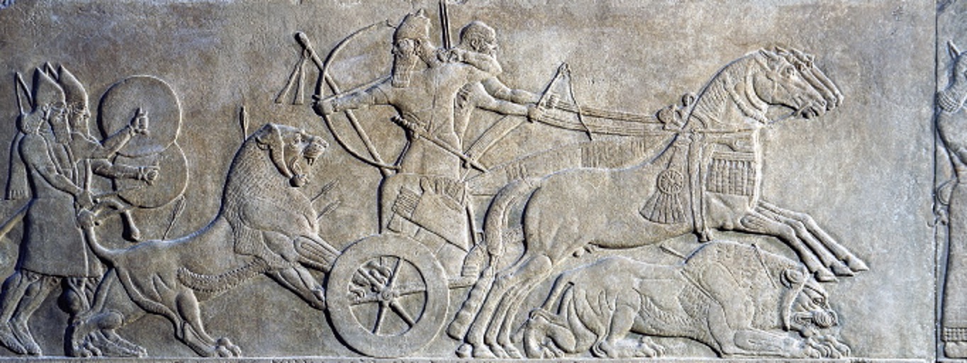 <p>What kind of representation does this fragment show?</p>