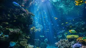 <p>Aquatic (adj)</p>