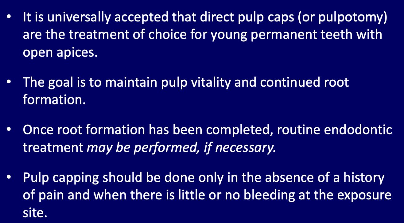 <p>Why are direct pulp caps especially important in young permanent teeth with open apices?</p>