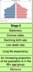<p>fertility rates drop and cause a more even distribution of the population according to age and sex</p>