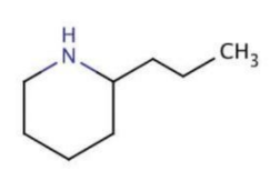 <p><strong>IDENTIFY THE STRUCTURE:</strong></p>