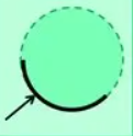 <p>section of circumference</p>