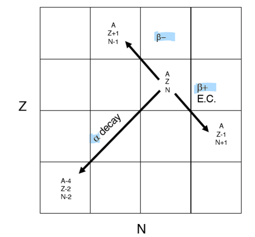 <ul><li><p>B- = above the stability line (Z+1, N-1)</p></li><li><p>B+ = below the stability line (Z-1, N+1)</p></li><li><p>alpha = diagonal down and left (Z-2 , N-2)</p></li></ul><p></p>