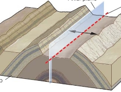 <p><strong>Folds</strong><span> occurs when one or a stack of originally flat and planar surfaces are bent or curved as a result of permanent deformation. The fold indicated in the figure below is called ...</span></p>
