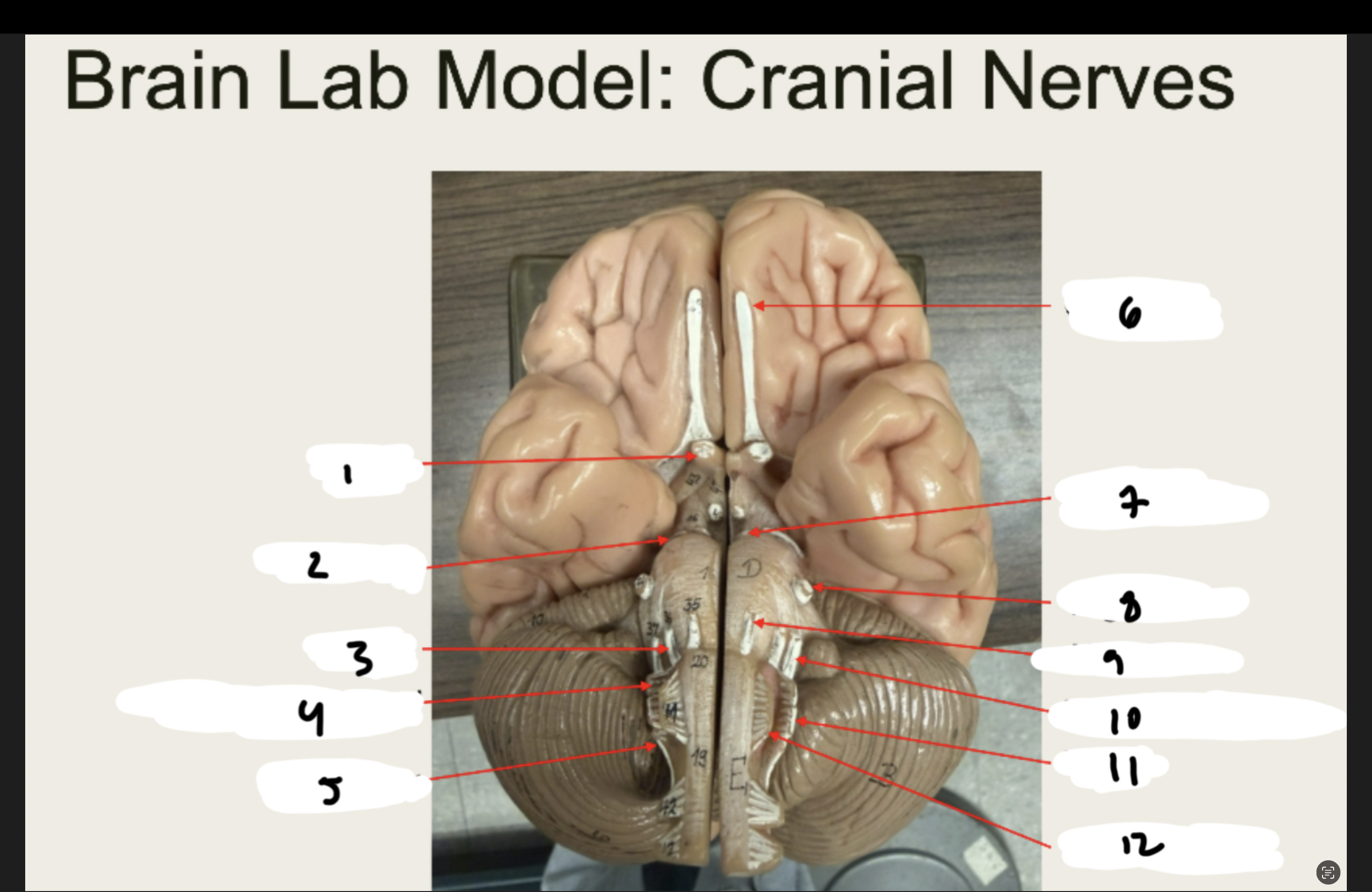 <p>1.XX</p><p>2.XX</p><p>3.XX</p><p>4.XX</p><p>5.XX</p><p>6.XX</p><p>7.XX</p><p>8.XX</p><p>9.XX</p><p>10.XX</p><p>11.XX</p><p>12.XX</p>