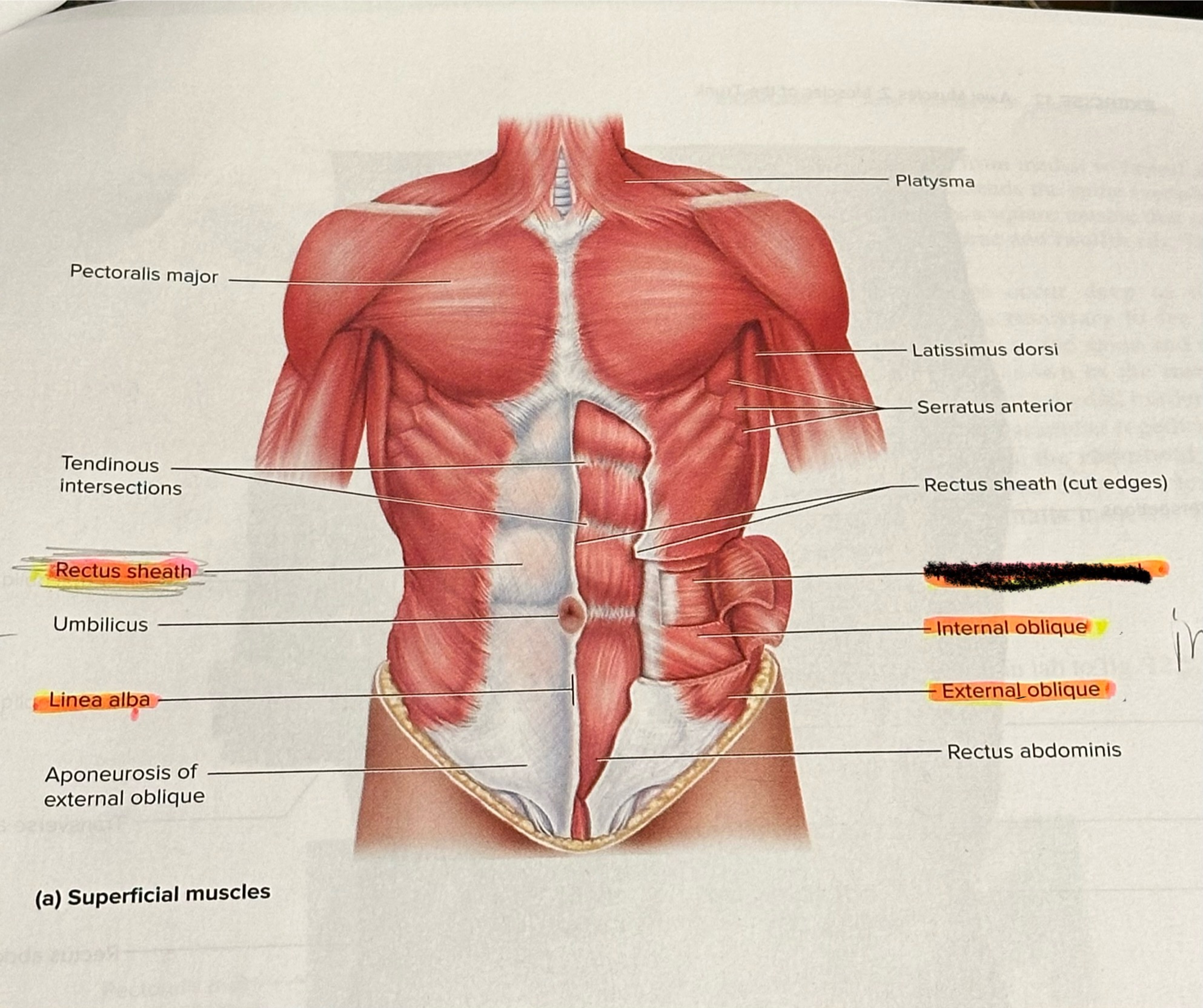 <p>Location crossed out </p>