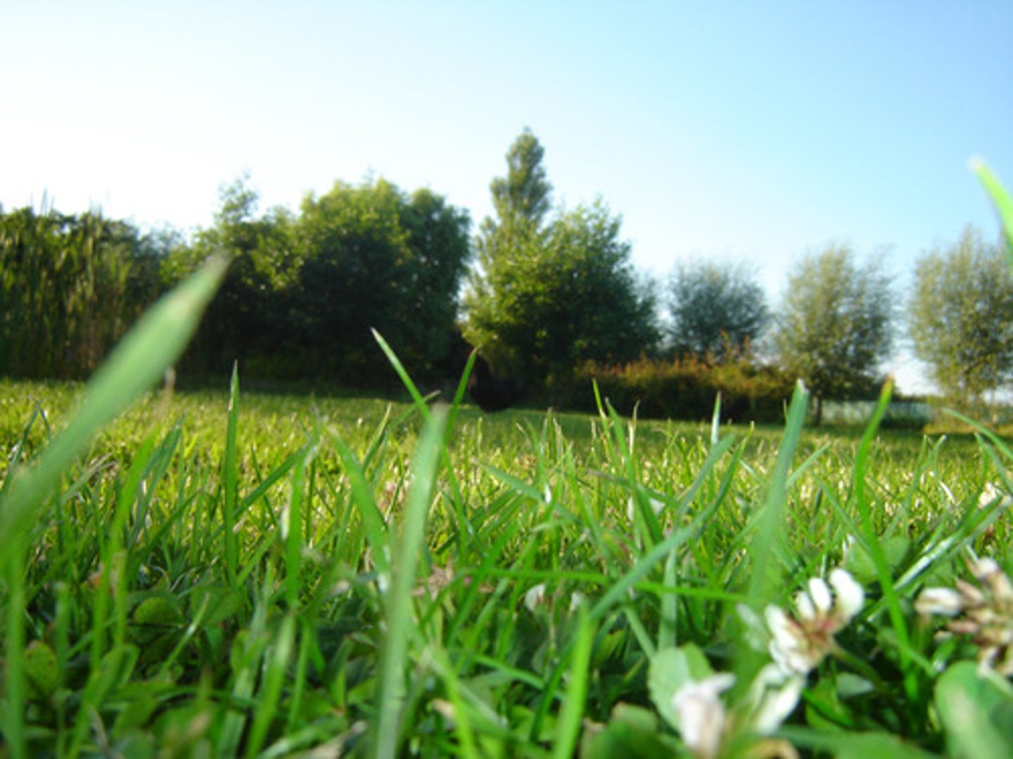 <p>Naturaleza:</p>