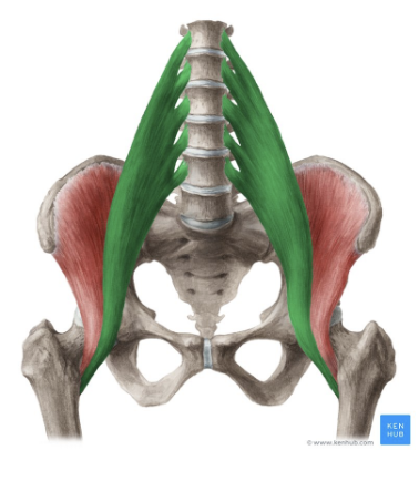 <p>Name &amp; function</p>