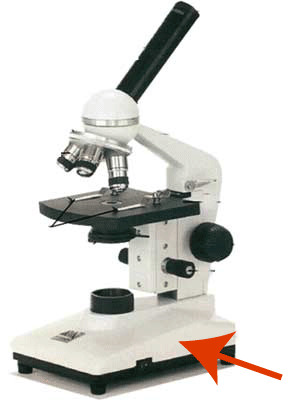 <p>What part of the Microscope is this?</p>