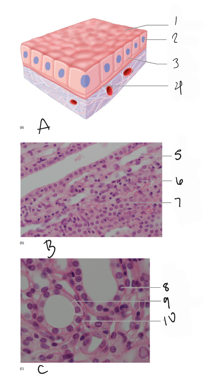<p>1</p>