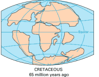 <p>cretaceous</p>