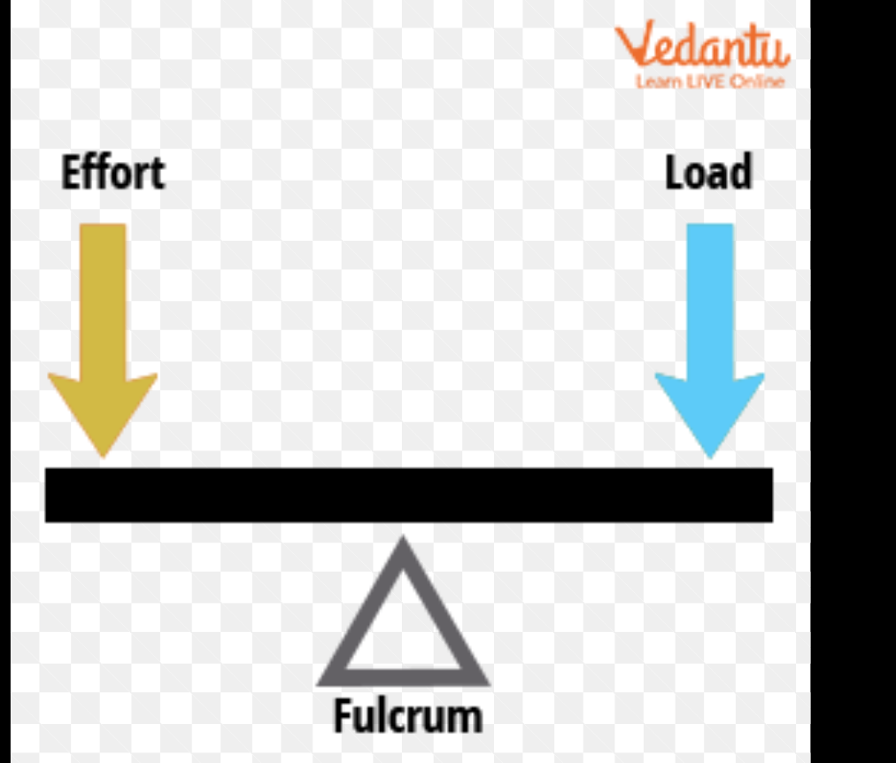 <p>USED IN: See saw, retractors, pliers</p><ul><li><p>Can be interchangable, effort and load can switch</p></li><li><p>Far ends arrows</p></li></ul><p></p>
