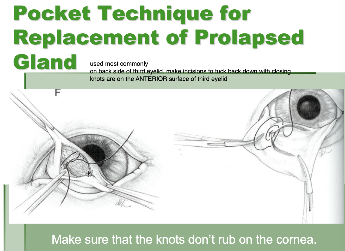<p>tack gland of third eyelid to orbital rim</p><p>pocket technique for replacement (used most commonly)</p>