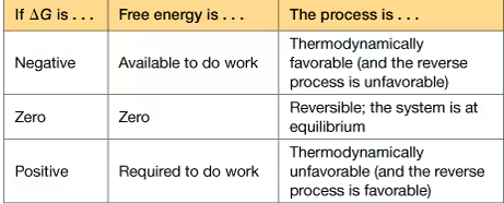 <p>free energy is available to do work</p><p></p><p>thermodynamically favorable (the reverse process is unfavorable)</p><p></p><p>spontaneous and exergonic</p><p></p><p>the reaction will happen without the need of help or energy. (System does not need the surrounding) this system does work on the surrounding</p>