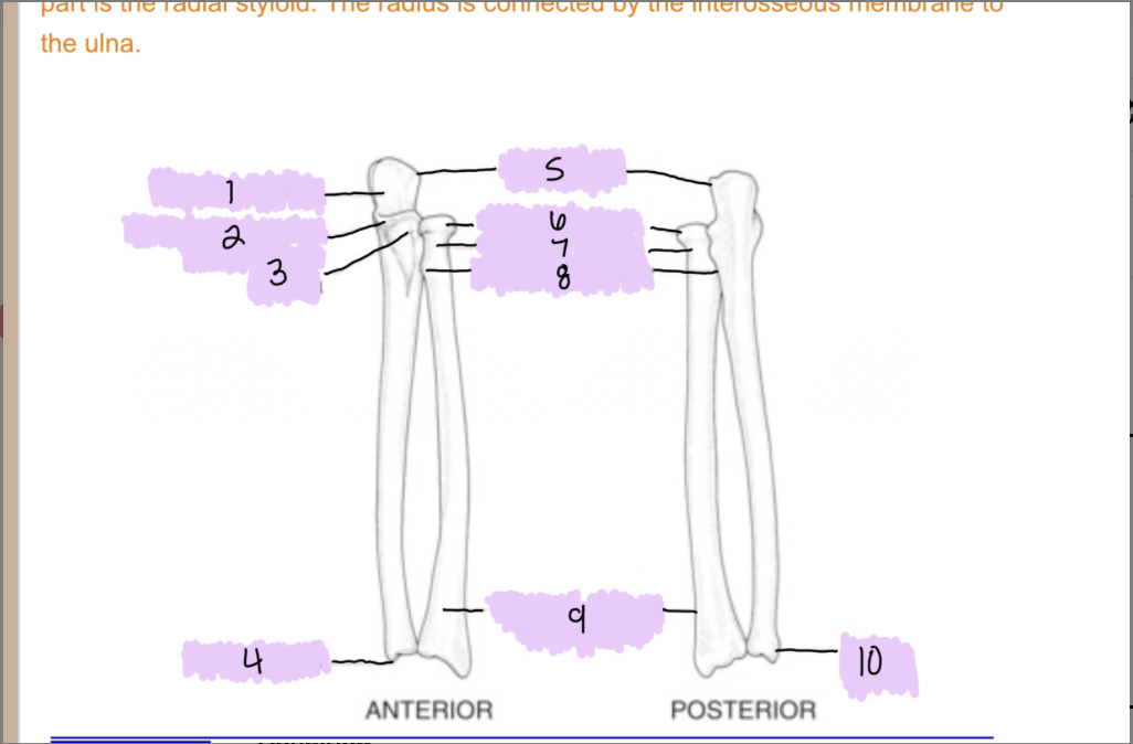 <p>What is 3?</p>