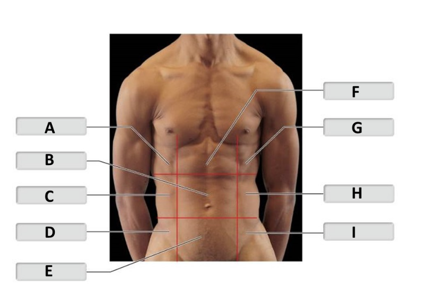 <p>Name for H</p>